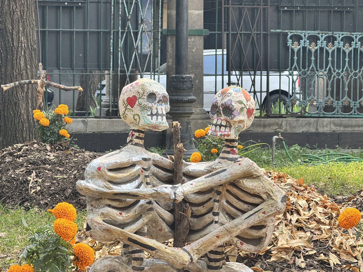 ¡Hoy es Día de Muertos!

Una de las celebraciones que nos dan identidad y mucho color 💀

#México #CDMX #PanteónSanFernando #DiaDeMuertos