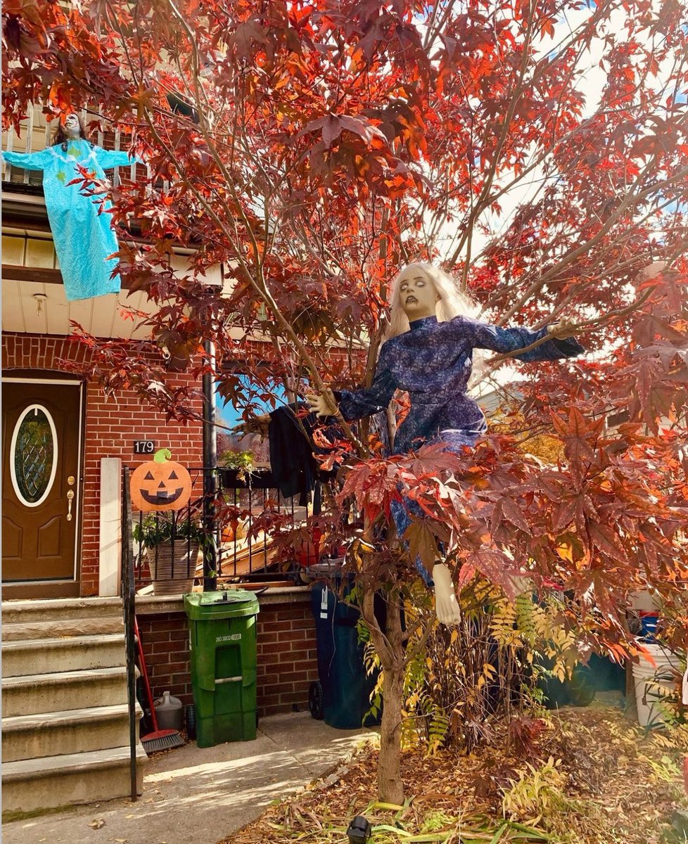 speedysoch's tweet photo. Mañana de Halloween 2024 https://t.co/rljQDAGGwT
