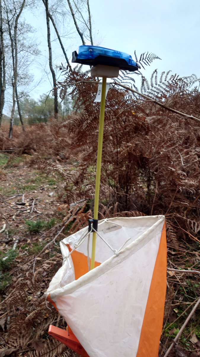 Mark Light tweet media