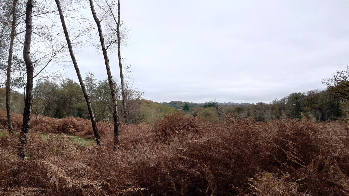 Mark Light tweet media