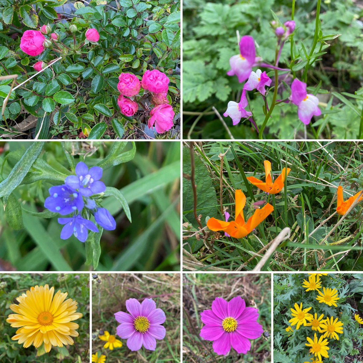 November … and yet 😊