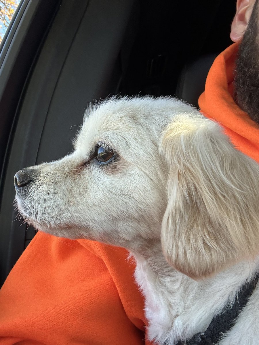 GrayHendrix's tweet photo. Hey @AB84 this is my dog Jake. My fam has had him for over 13 years, his body is failing and unfortunately we are on our way to put him down. He is a great boy, and as you can see, a certified cracker. Can you please honor him with today’s Cracker of the Day? Much love #RIPJake https://t.co/ByUfqnjqBL