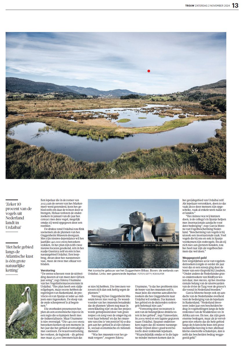 Wouter Vansteelant (@wmgvs) on Twitter photo Dutch newspaper <a href="/trouw/">Trouw</a> echoes <a href="/SEO_BirdLife/">SEO/BirdLife</a> and <a href="/BirdCenter_/">Urdaibai Bird Center</a> concerns abt planned <a href="/MuseoGuggenheim/">Guggenheim Bilbao</a> expansion in #Urdaibai Biosphere Reserve and hotspot for migratory birds.
Research by <a href="/WGLepelaar/">Werkgroep Lepelaar</a>, <a href="/GlobalFlyway/">Global Flyway Network</a> and local experts reveals Urdaibai as vulnerable Spoonbill haven.👇 Dutch newspaper <a href="/trouw/">Trouw</a> echoes <a href="/SEO_BirdLife/">SEO/BirdLife</a> and <a href="/BirdCenter_/">Urdaibai Bird Center</a> concerns abt planned <a href="/MuseoGuggenheim/">Guggenheim Bilbao</a> expansion in #Urdaibai Biosphere Reserve and hotspot for migratory birds.
Research by <a href="/WGLepelaar/">Werkgroep Lepelaar</a>, <a href="/GlobalFlyway/">Global Flyway Network</a> and local experts reveals Urdaibai as vulnerable Spoonbill haven.👇