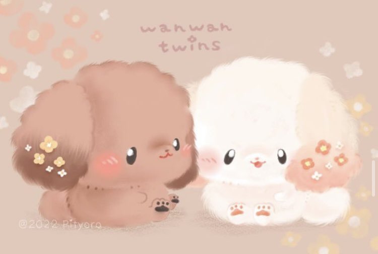 Pityoro_Chima's tweet image. #犬の日🐶🤎🤍