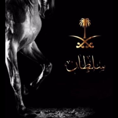 sull911's tweet photo. #صورة_جديدة_للملف_الشخصي https://t.co/Z39oMgj7S7