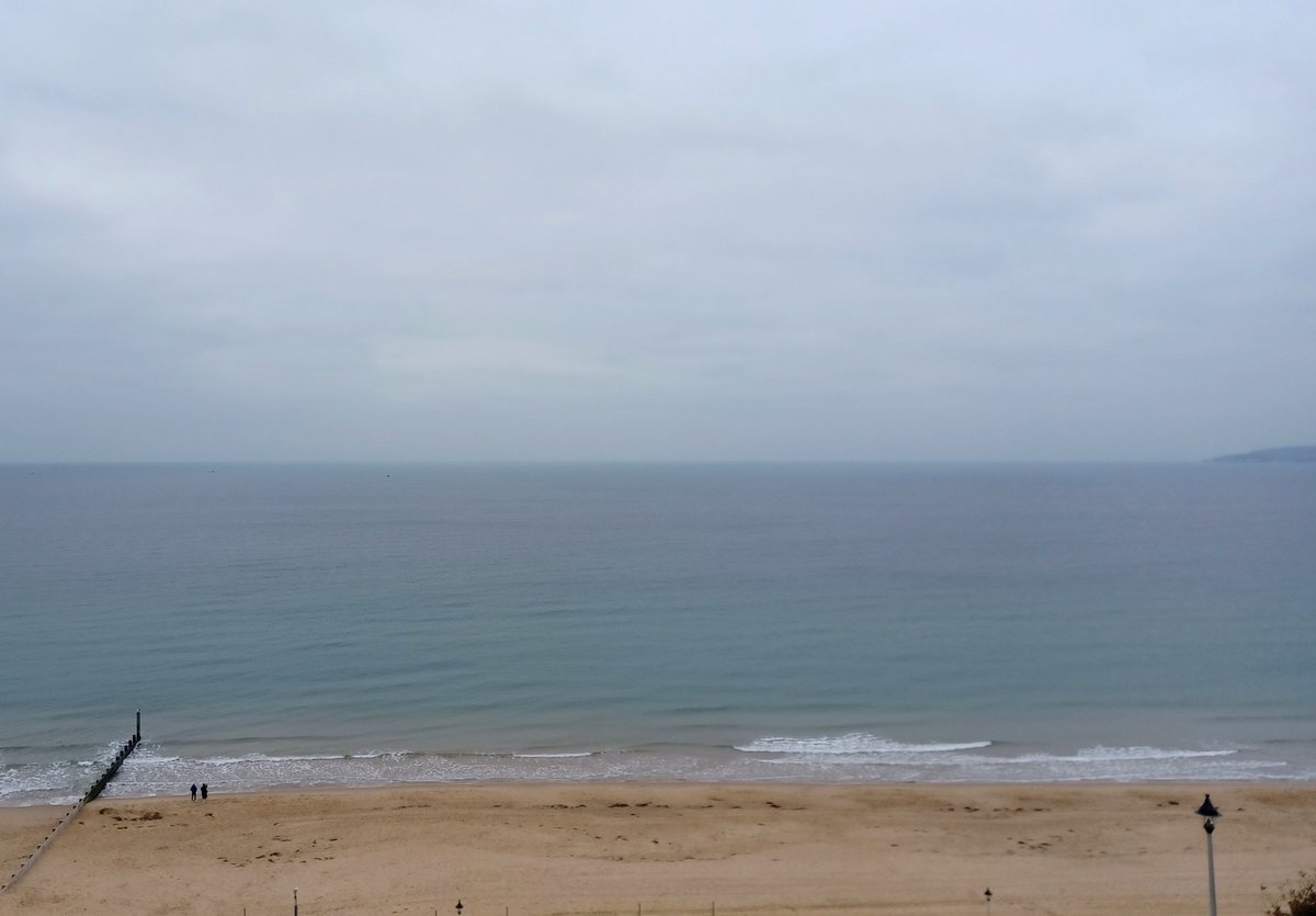 Sallystardust tweet media