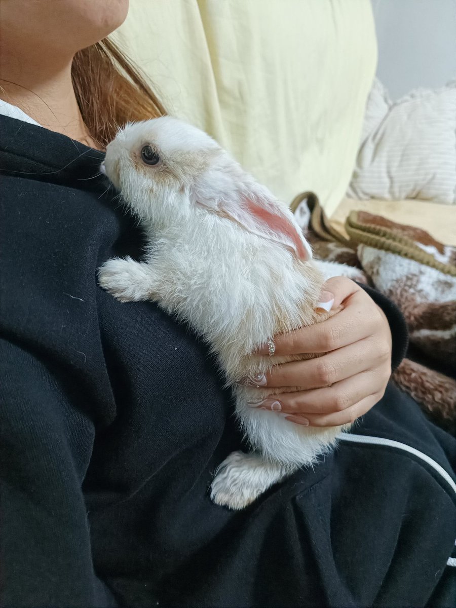 Hurona Rolera🌻• tweet media