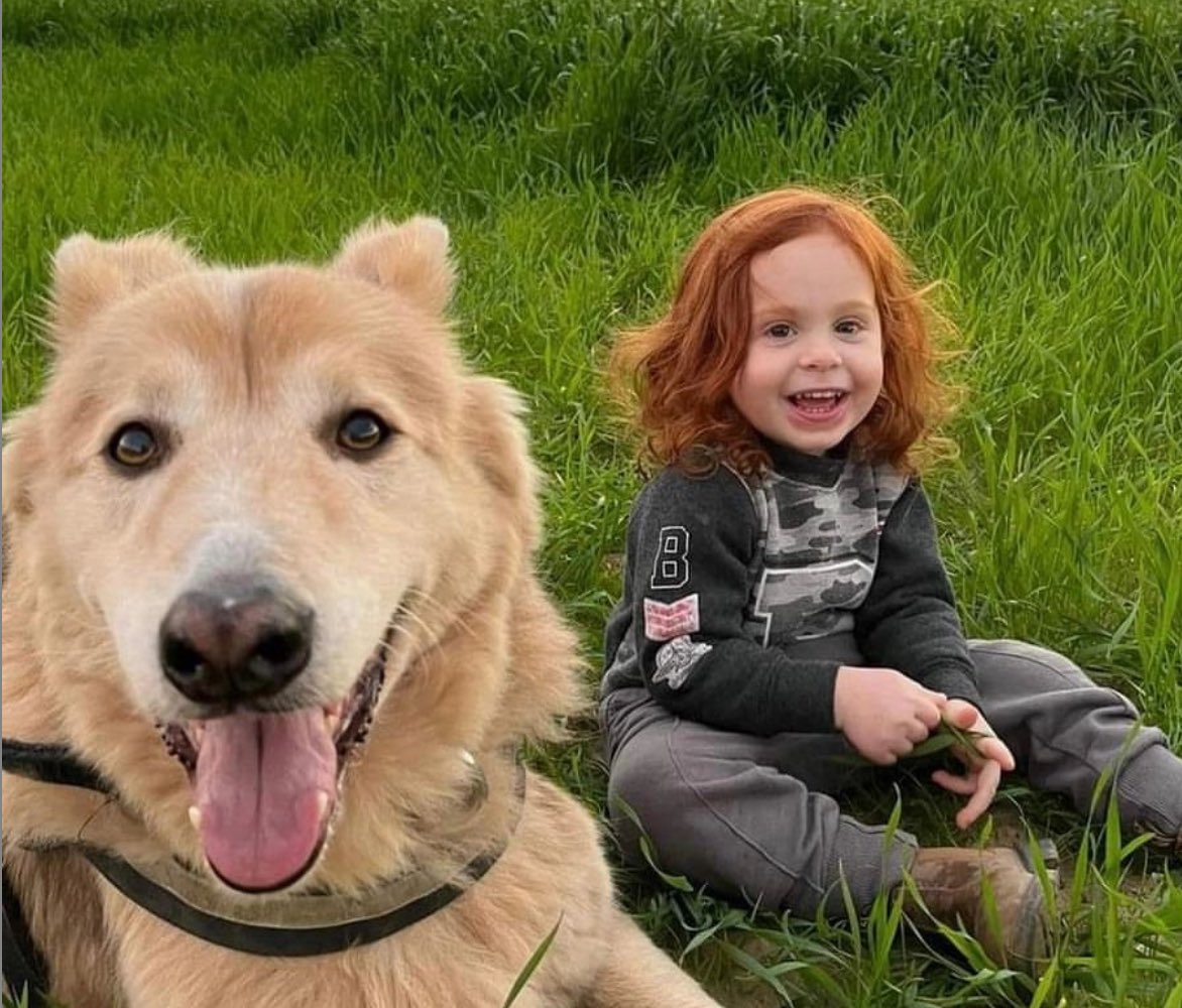 Oli London tweet media