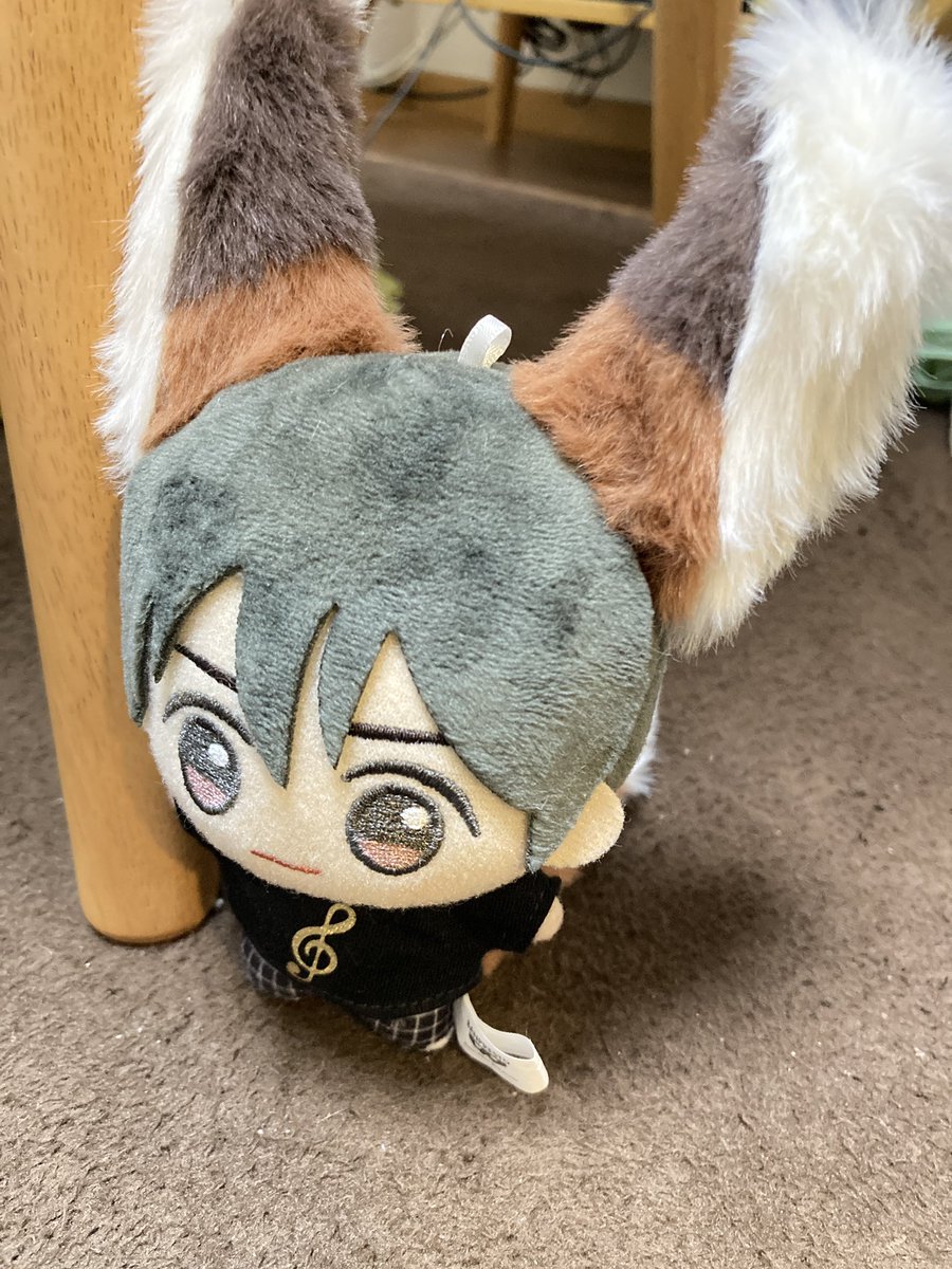 ( ･ω･) お見かけしてどうしても欲しくて張り付いてゲットしたUKKEさん( <a href="/_0_u_0/">UKKE</a> )のきつねセット！想像以上にふわふわモコモコで触り心地抜群〜ずっと撫でてたい…猫派の冬美くんも思わずにっこりしているような とてもキュート ハロウィン魔女帽子にも合う〜 ありがとうございます