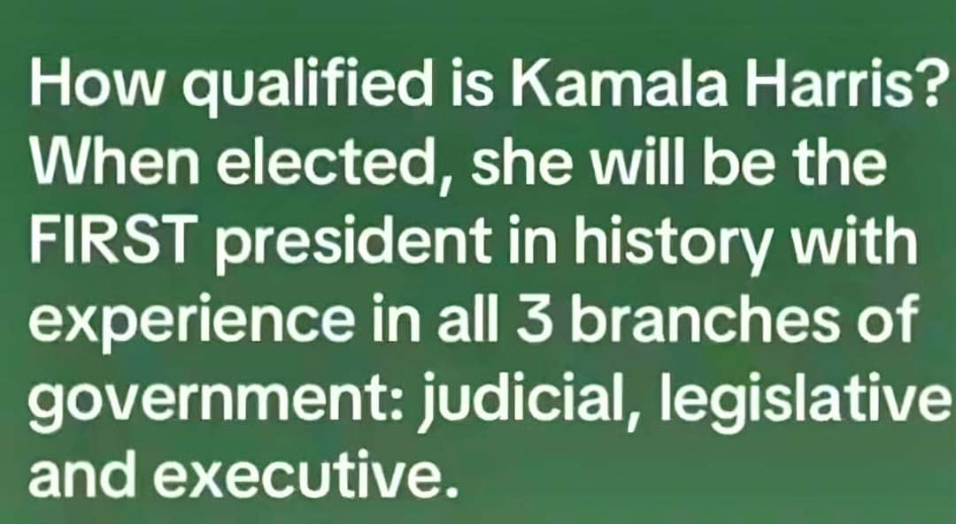 HLindaLee's tweet photo. @TheHausWorking @realDonaldTrump https://t.co/l4hJYYI7G7