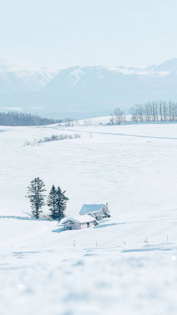 雪白世界