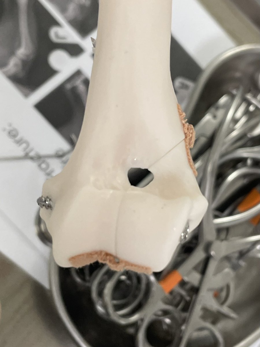Ross Allan (@rossallanvet) on Twitter photo Great 2 days at <a href="/CentralCPD/">CentralCPD</a> delivering “Introduction to Fracture Repair: skills, tips and tricks”.
Thanks to a great group of delegates for their enthusiasm, CentralCPD for the invite and #Securos Surgical for their support.
#veterinary #orthopaedics #cpd Great 2 days at <a href="/CentralCPD/">CentralCPD</a> delivering “Introduction to Fracture Repair: skills, tips and tricks”.
Thanks to a great group of delegates for their enthusiasm, CentralCPD for the invite and #Securos Surgical for their support.
#veterinary #orthopaedics #cpd