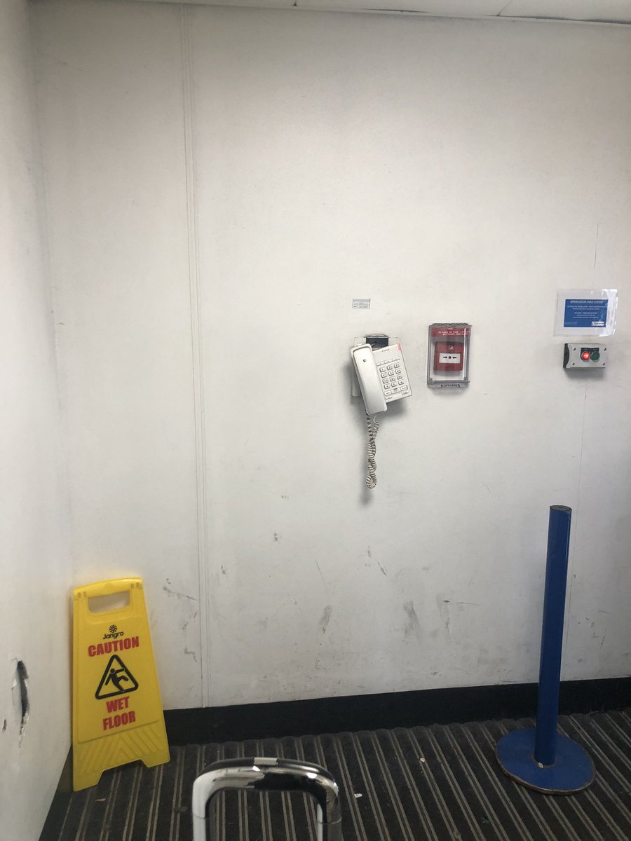 Sofía Delgado tweet media