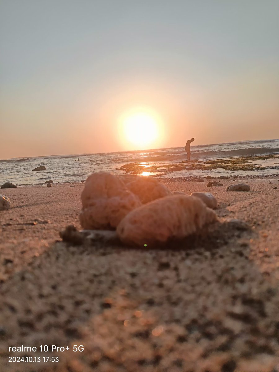 🇮🇩DAN'Z🇵🇸 tweet media