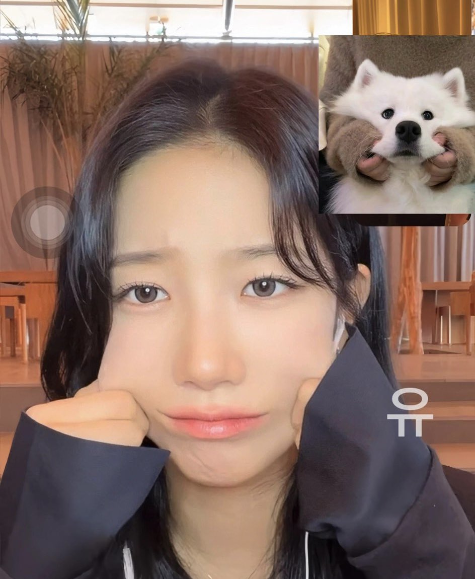 ⚡️ 네이버아이디 ⚡️☆텔𝐔𝐁𝐓𝐂𝟗𝟗☆더쿠.dcs