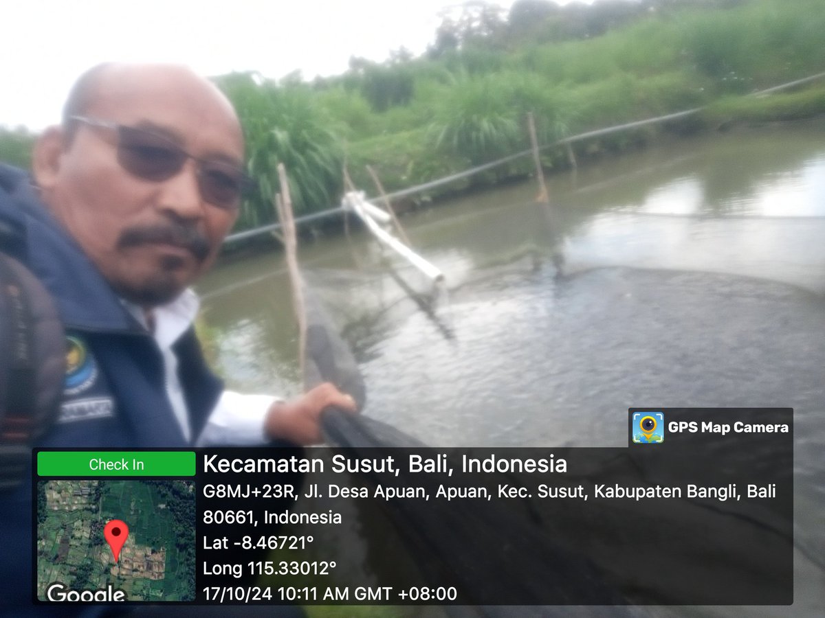 paramarta080's tweet photo. Kamis,(17/10), I Gede Putu Paramarta, Luhkan Kab.Bangli di POKDAKAN Mina Sari Desa Puan, mendampingi panen benih nila 16.000 ekor, ukuran 9 cm, luas 600 M2, harga jual 500/ekor
#GiatLuhkanSatminkalGONDOL
#Bangli
#Panen
@bppsdm_kp 
@bppsdm_puslatkp https://t.co/Ycynpg8P2v