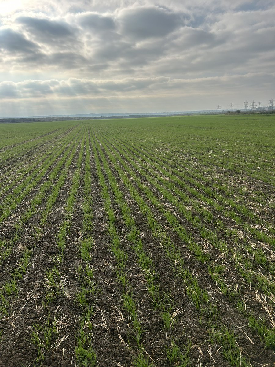 James Cole (@_james_cole_) on Twitter photo 