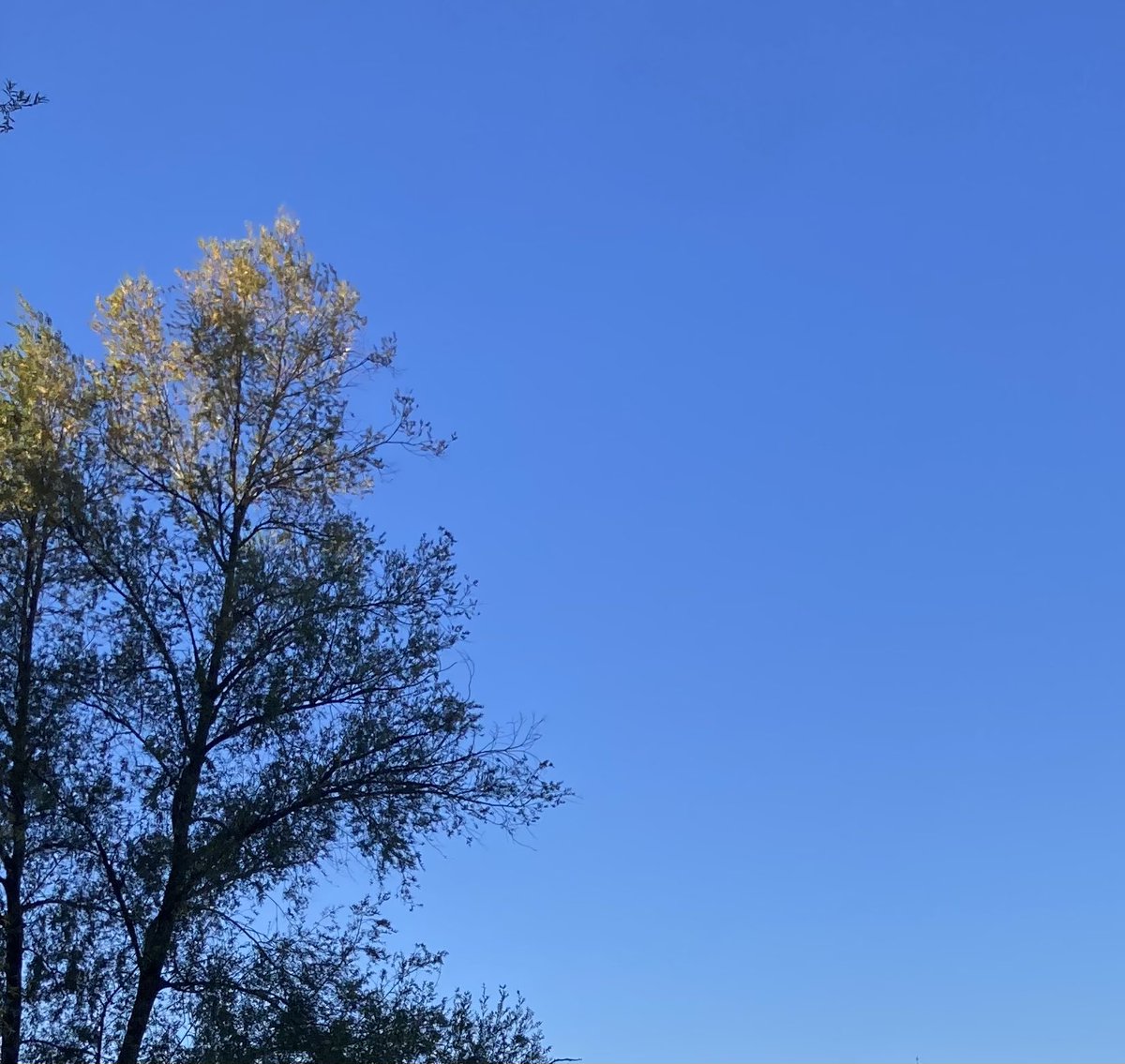 Himmel vilken himmel!