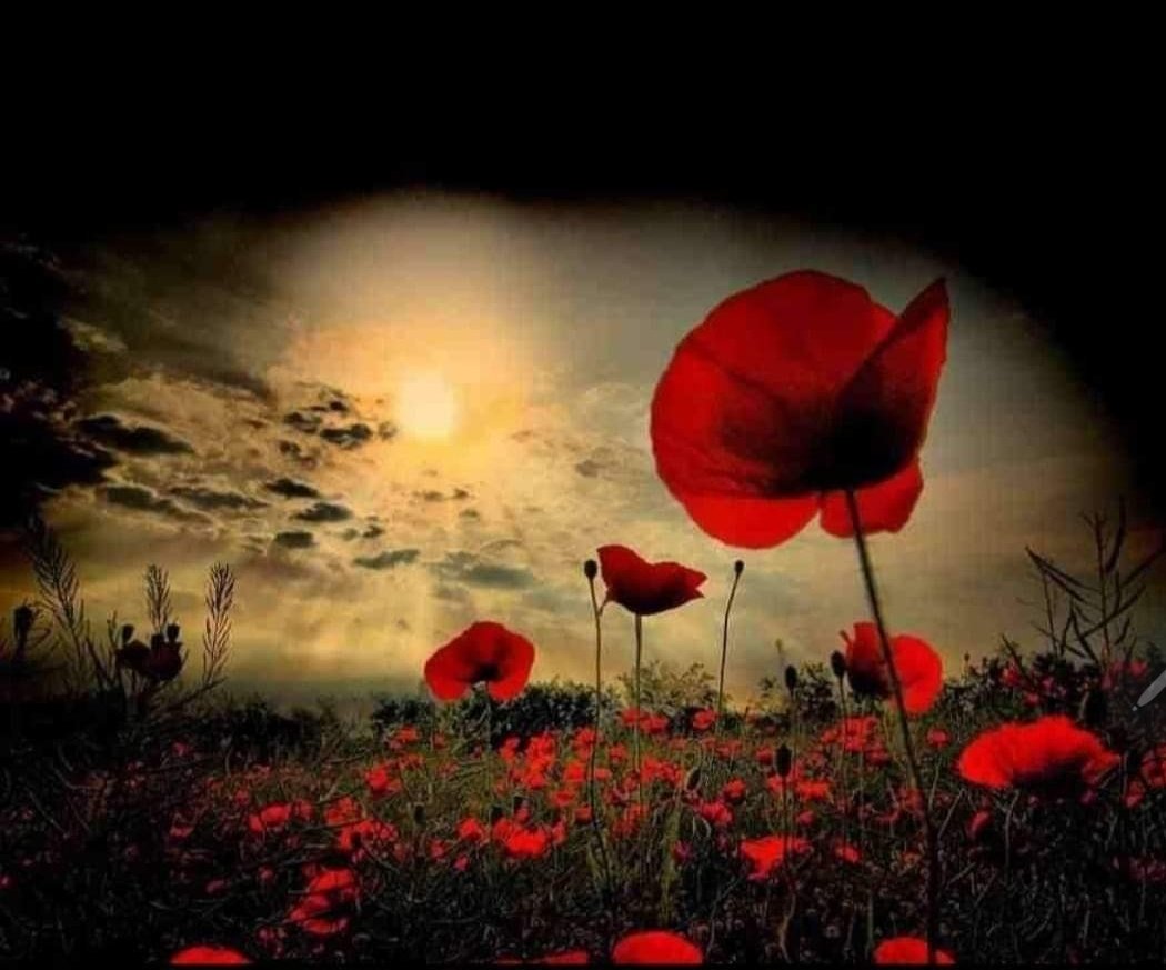 We need everyone to share how Proud we are of the Brave Men &amp; Women who gave their lives for us.