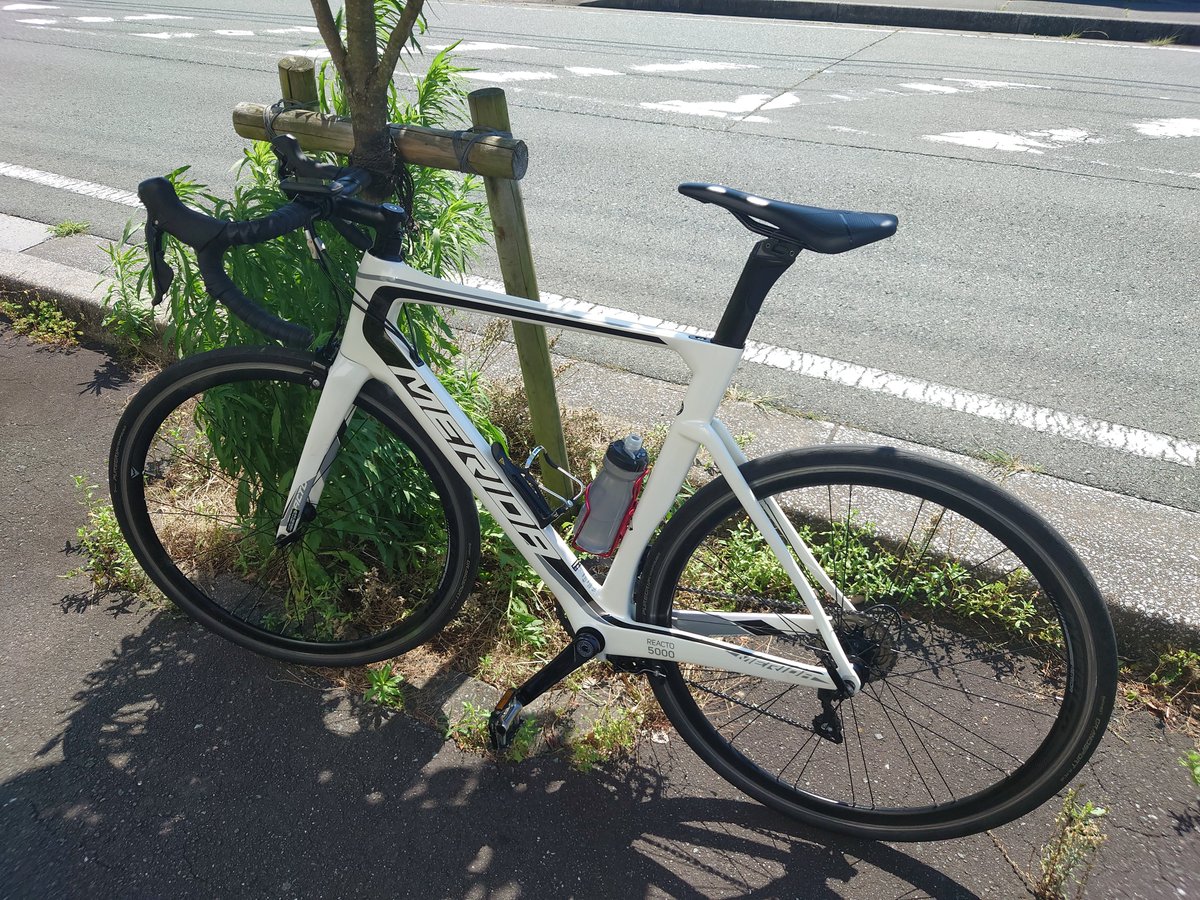 ハイデラックマ tweet media