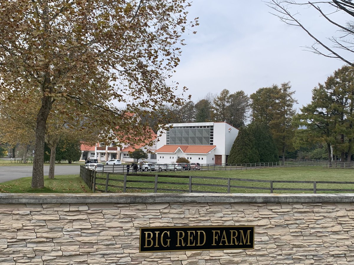 jk8vtt's tweet photo. BIG RED FARMです。
ビックレッドファームは競走馬(サラブレッド)の生産牧場です。
タイミング良く白鳥が12羽いました。 https://t.co/3znPeKBCz6