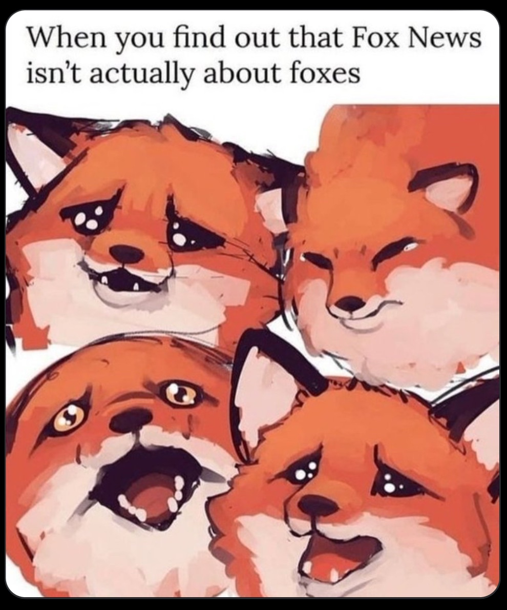 Morales4SDMayor's tweet image. Saw this, somewhere, the other day
And thought: ‘ lwouldn’t it be nice if it was all about #Foxes instead is #Lapdogs?’