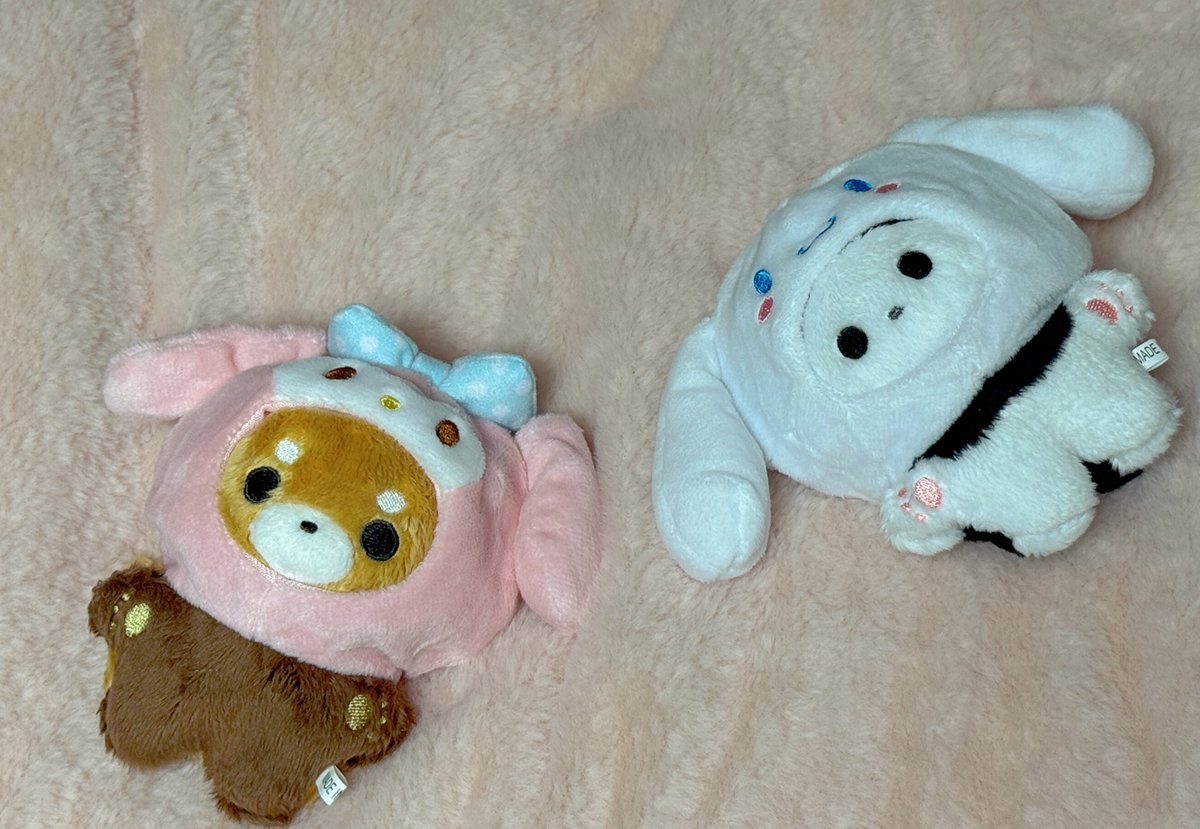 x.com/softyor_tor/st…