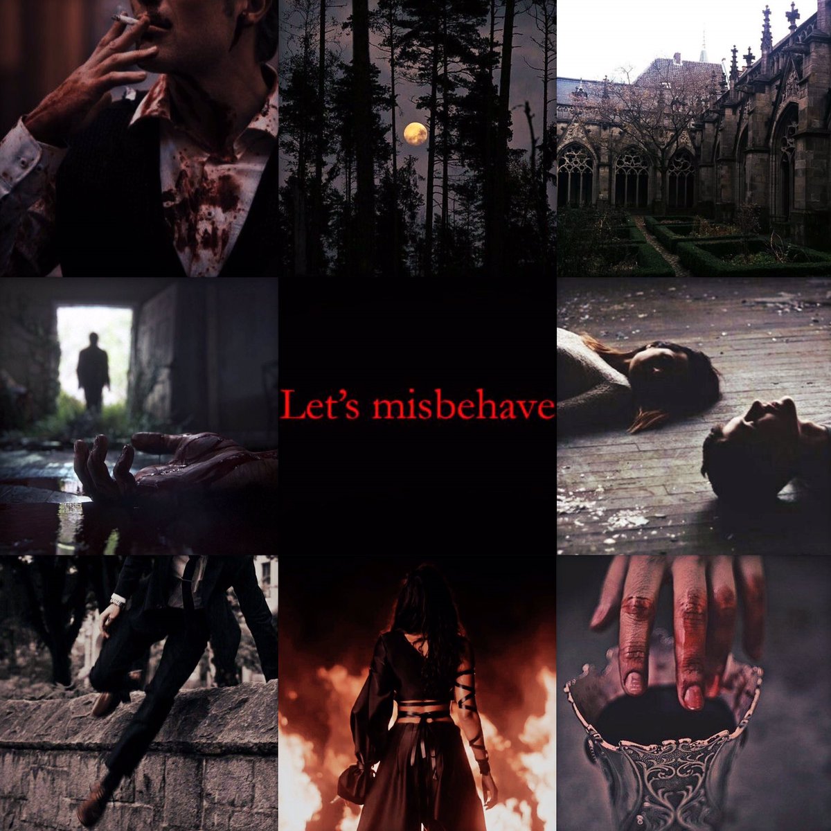 Charlotte Hayward ✨ tweet media