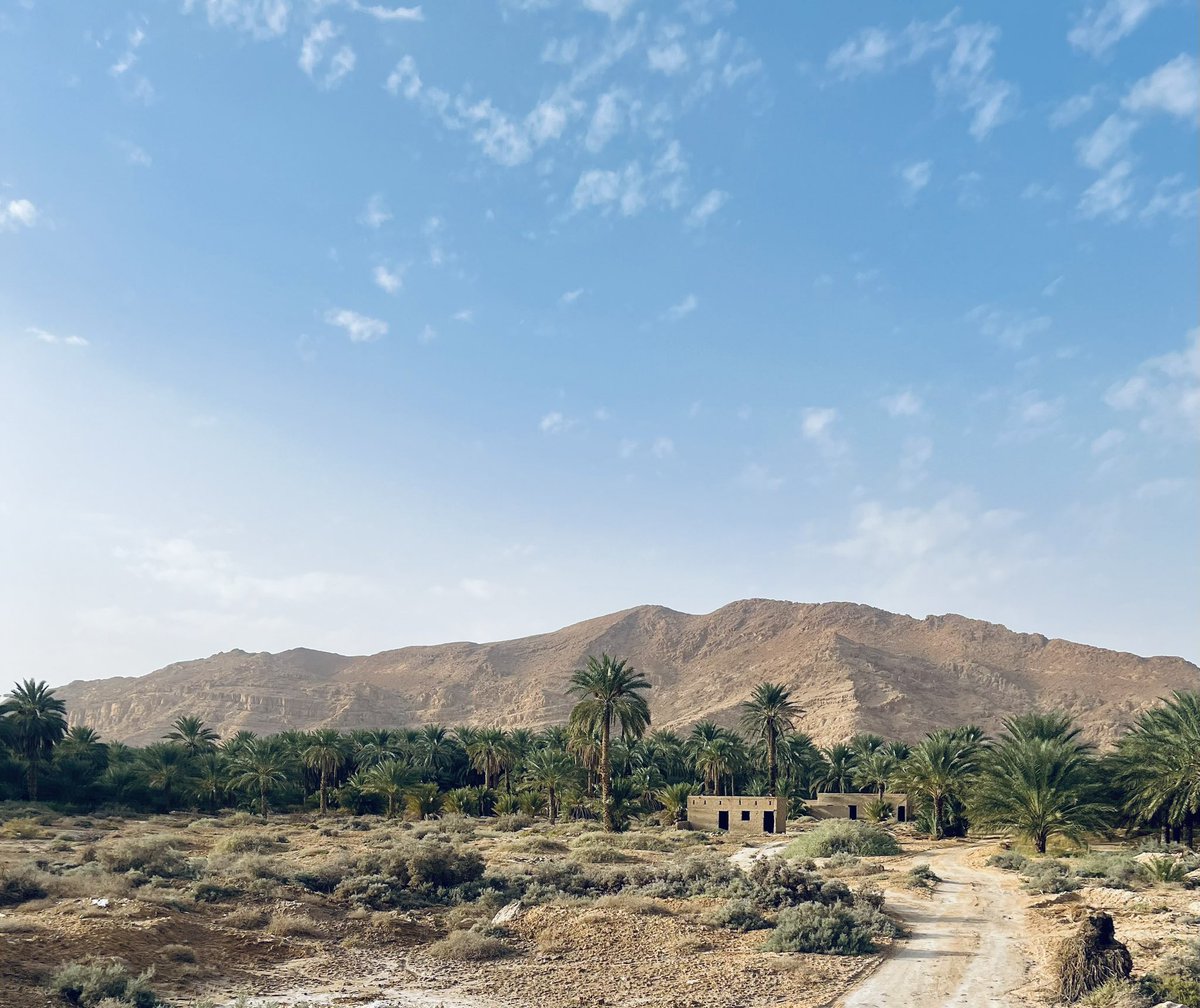 mhs_officiel's tweet photo. BISKRA 🇩🇿📍 https://t.co/Exr9sZ1iYI