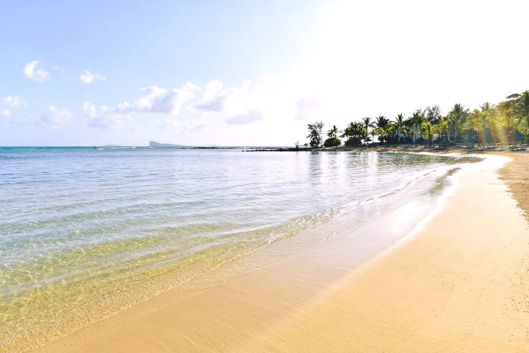 beachtag's tweet photo. Don't spend too much time
looking in the rearview
mirror. Yesterday is behind
you. What's done is done, so
take what you've learned
from the experience and just
move on...

📍Canonnier Beachcomber Golf Resort &amp; Spa

Better #Beachdays ahead! 
See you soon.

#beachtagholidayshere https://t.co/KQ1TF3tZVF