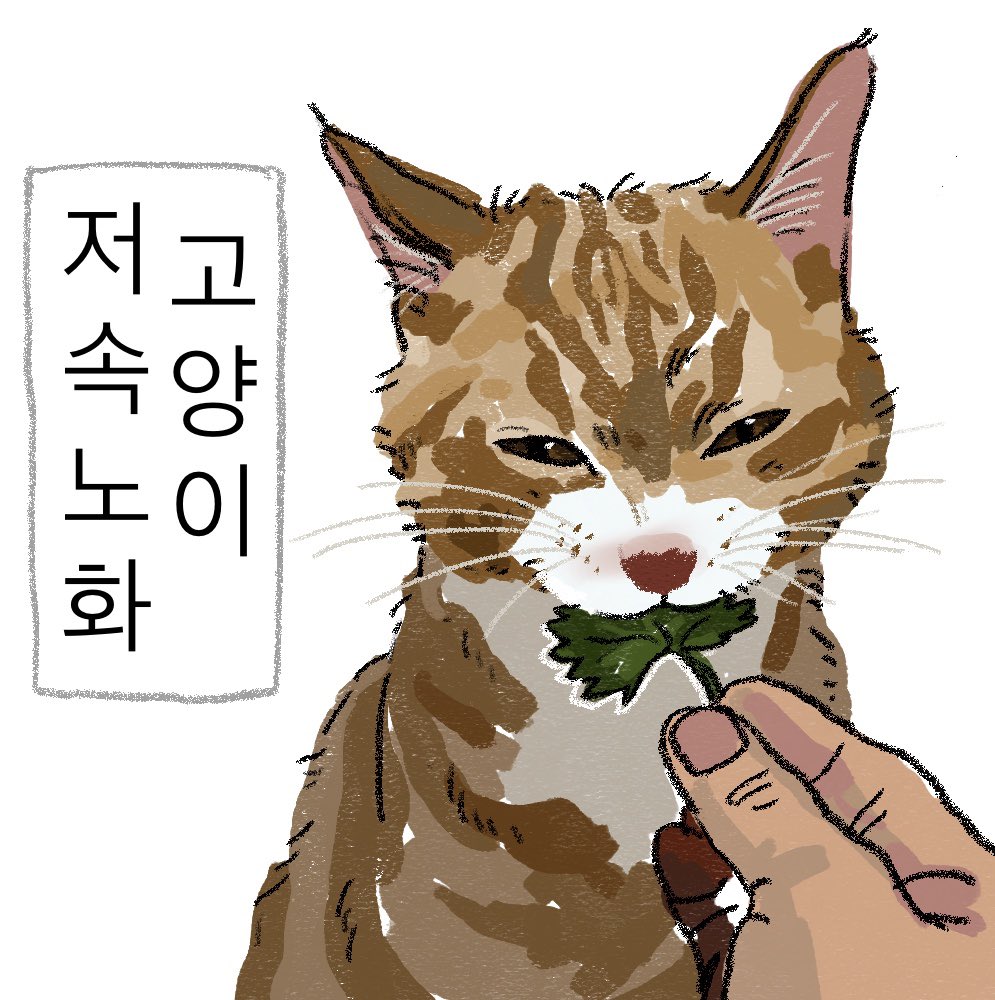 gobalam122092's tweet photo. 저속노화 선생밈… 귀여우십니다 https://t.co/sLXDGkO7kY
