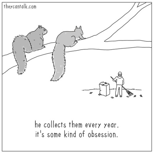 DYK - you can leave your leaves? 

That's right -- you can just ignore those rustling, crunchy, pumpkin-spiced tree-tip bad boys until spring. 

Left leaves insulate garden beds, provide habitat for pollinators, and break down into free fertilizer (bonus)! 

📷= <a href="/theycantalk/">theycantalk</a>