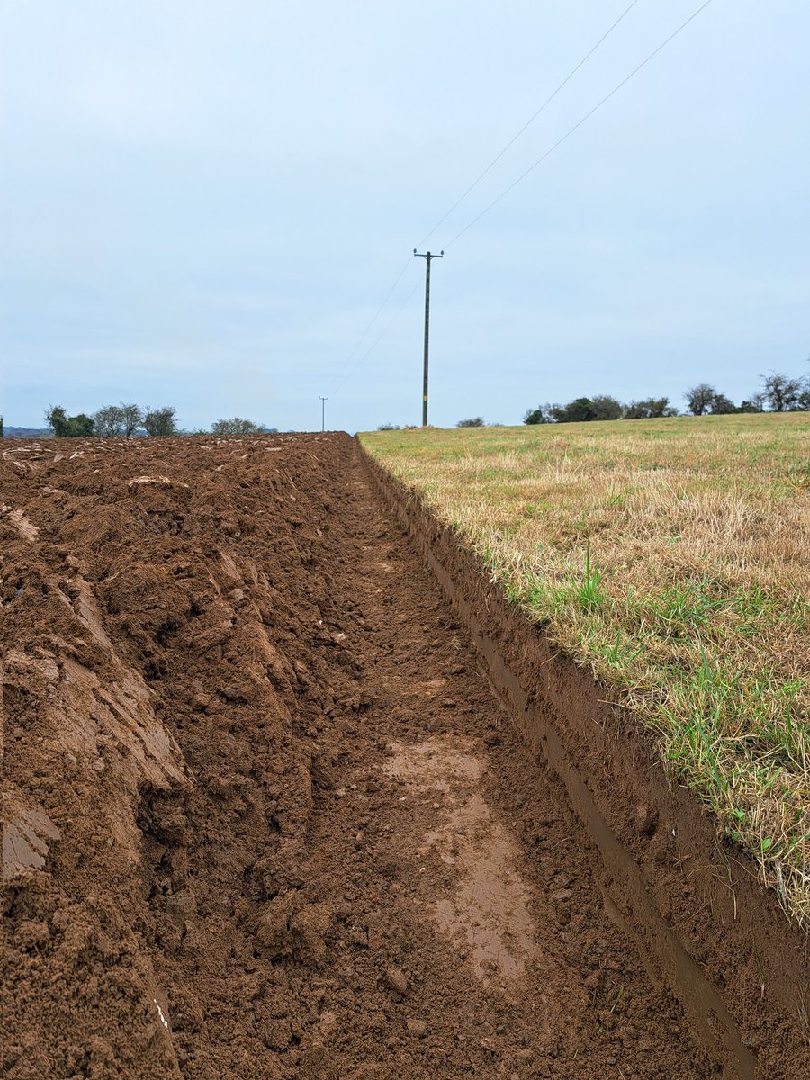 Liam Ahearn tweet media