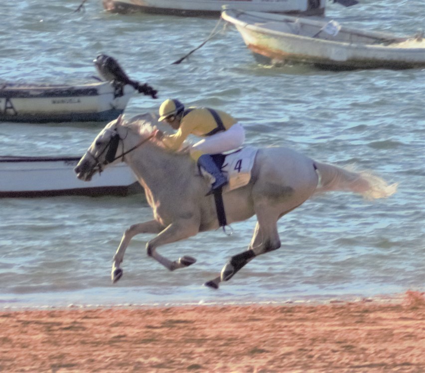 Beach Racing - where the surf needs no turf....