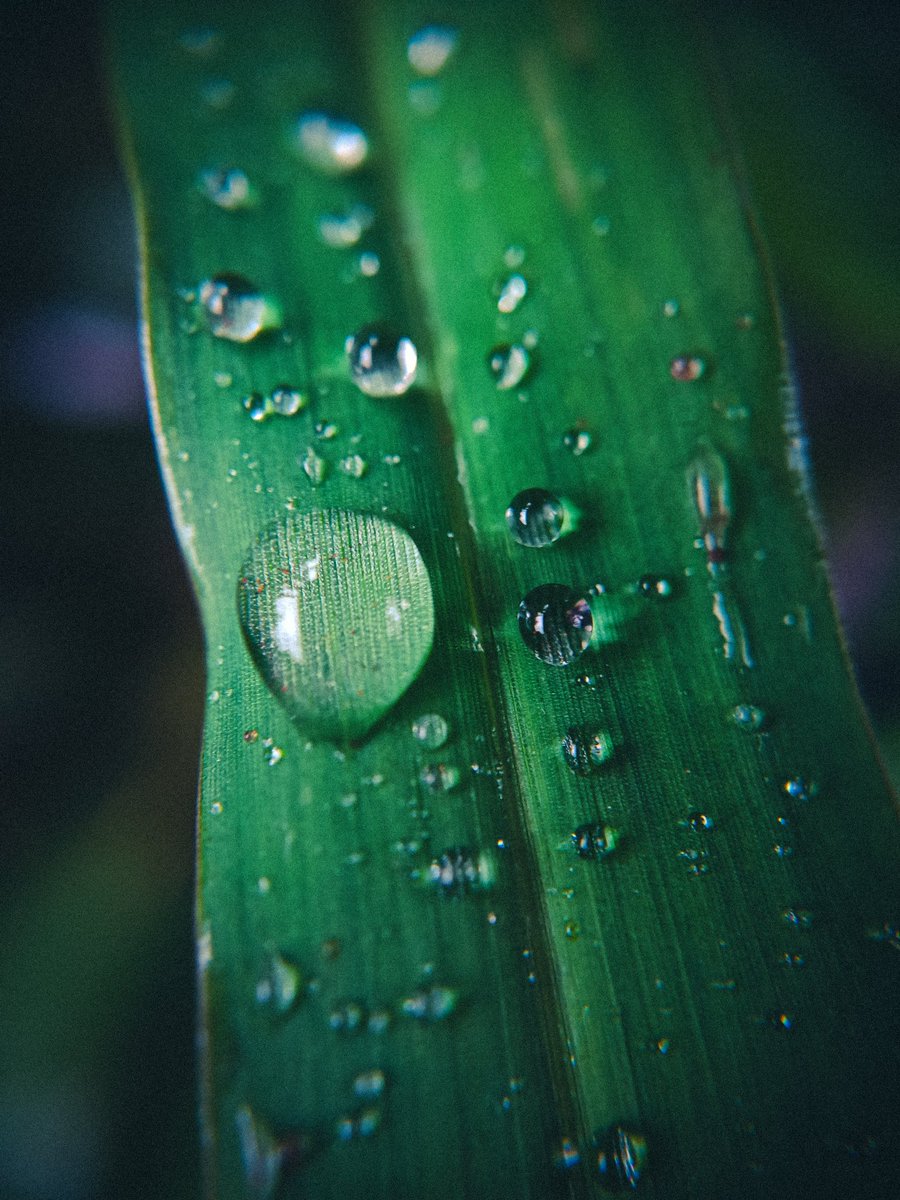 wigneshshenoy's tweet photo. Shot On @Adcom_India &amp; @realmeIndia Narzo 70 Pro https://t.co/mlWjkpOfDa