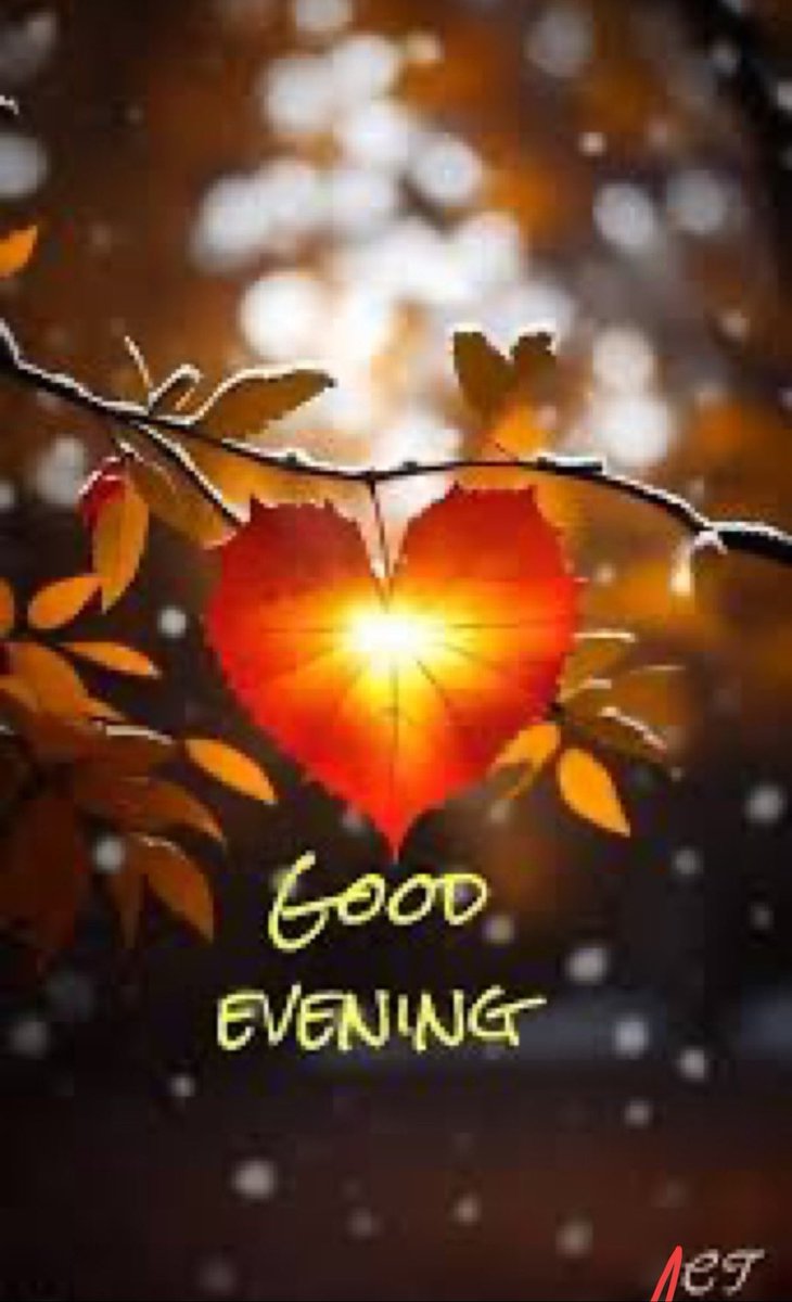 सुकून नही मिलेगा किसी और के साए में 
ऐसा कुछ घोल कर पिलाऊँगा तुम्हे चाय में...
Good evening