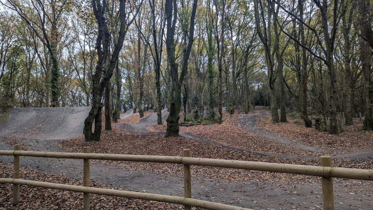 Angie Hodson tweet media