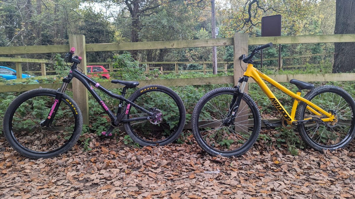 Angie Hodson tweet media