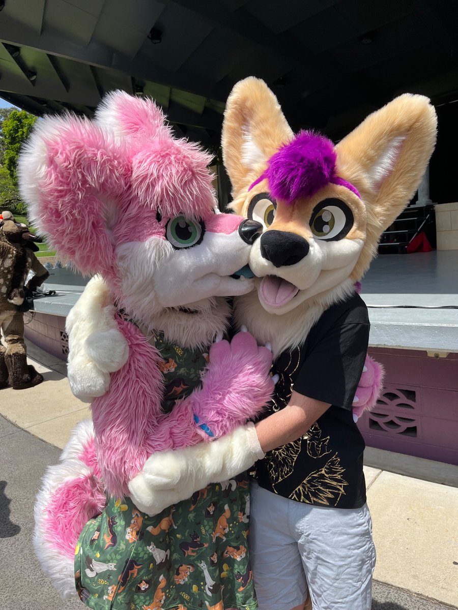 hthom32's tweet photo. tails of terror 2024 photos part 5

Ft: @TillyWolf @SkylerPup 

#fursuiter #TailsOfTerror #fursuit #furry https://t.co/LNGyxNHrkR