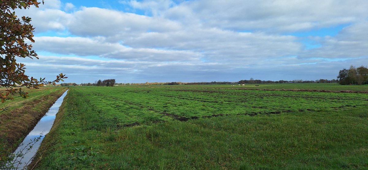 Ook in De Knipe bij #Heerenveen maken omwonenden zich zorgen over hun gezondheid en biodiversiteit als gevolg van het vele spuiten op lelievelden. Ramen en deuren dicht adviseert men bij het spuiten. Stoppen met #pesticiden helpt veel beter.