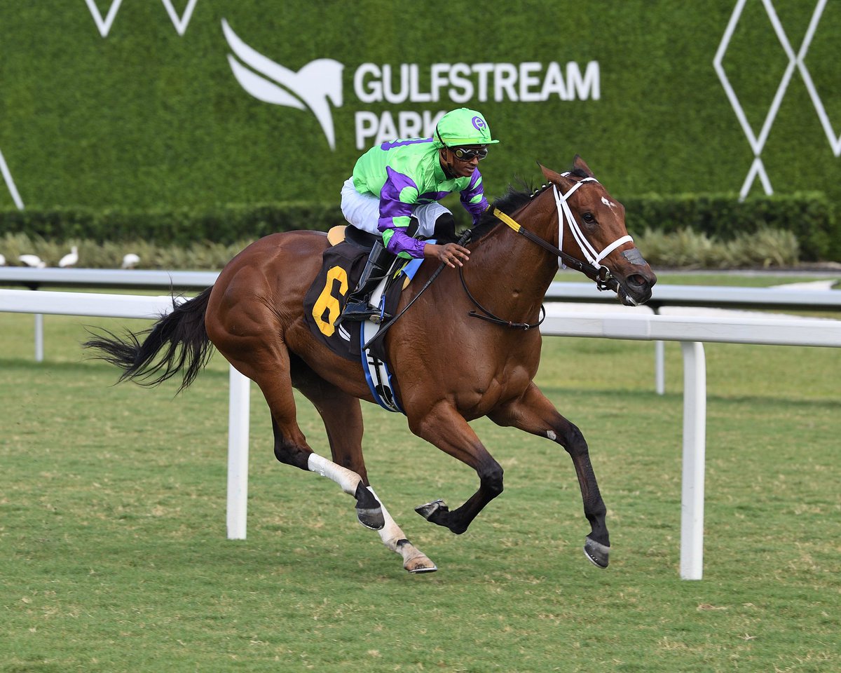 SaffieJosephJr's tweet photo. Mrs. Gambolini

Allowance Optional Claiming $25,000
Jockey: Micah Husbands
Trainer: Saffie Joseph, Jr.
Owner: e Five Racing Thoroughbreds LLC

3️⃣2️⃣nd victory for Saffie Joseph, Jr. #GulfstreamPark #SunshineMeet Friday, November 1, 2024 #TeamJosephJr

📸 @coglianesephoto https://t.co/EfdDjuenAQ