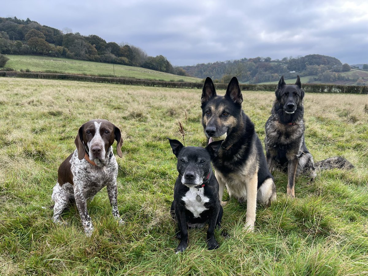 I enjoyed my walk with my best friends