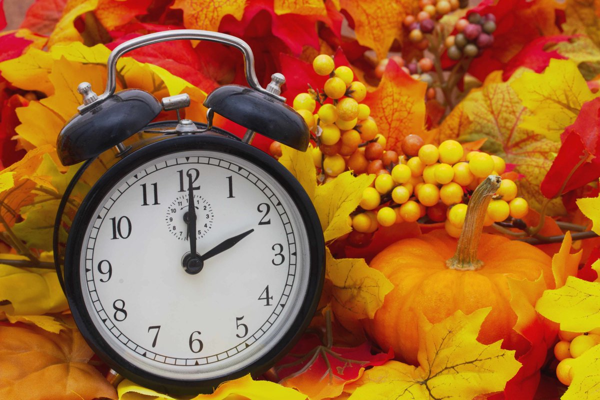 AOIIBucksCounty's tweet photo. Time for us to fall back, AOIIs! 🐼♥️⏲️ https://t.co/U8qxvMtVGU