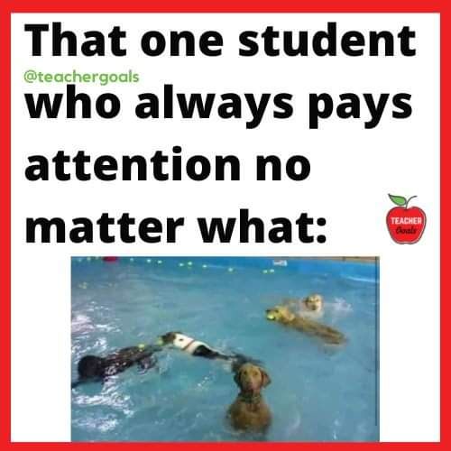 TeacherGoals tweet media