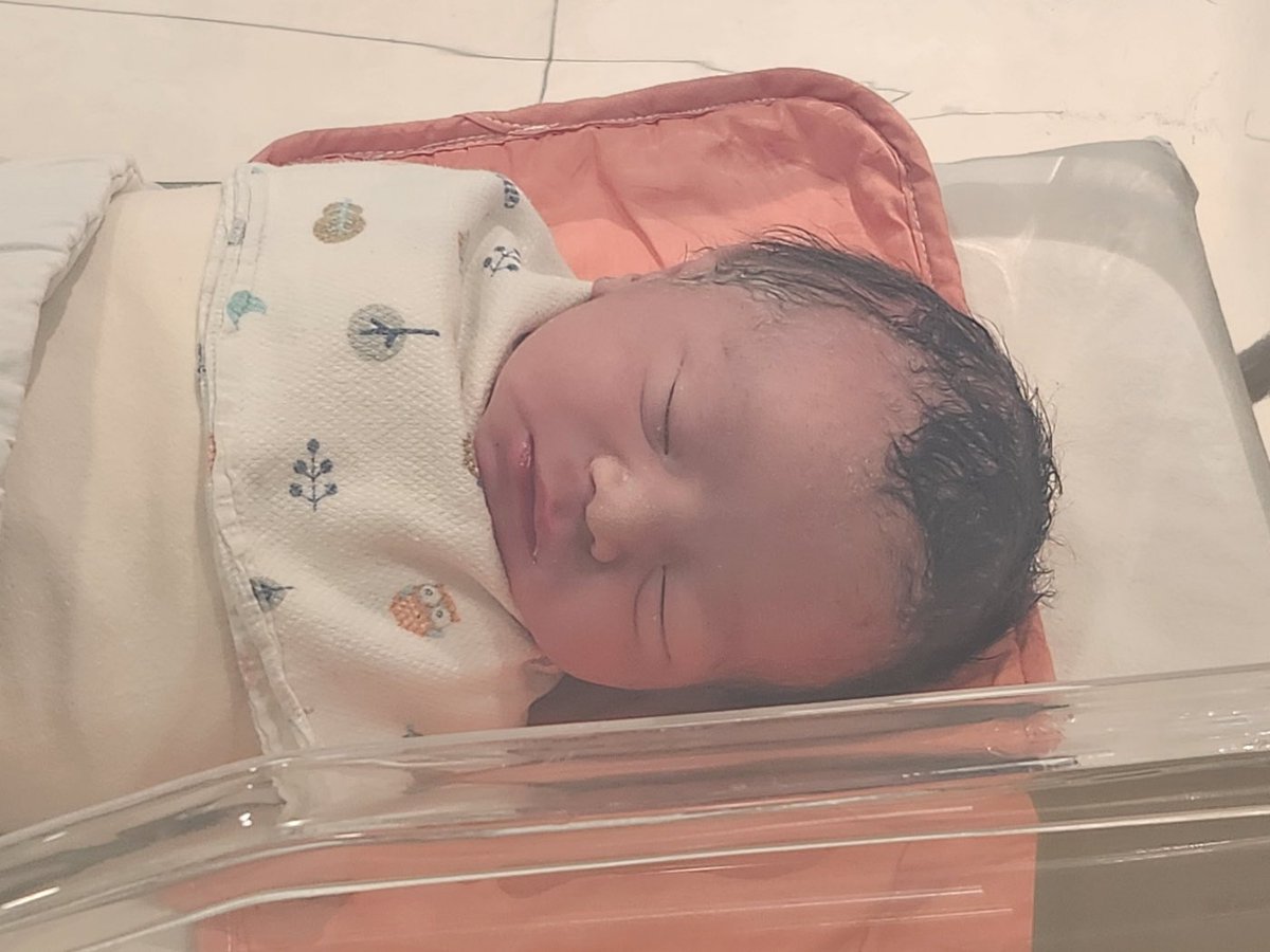 Brendan Valdes tweet media