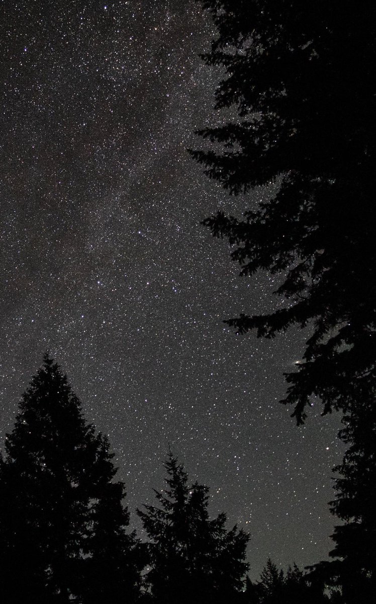 — so many stars ✨