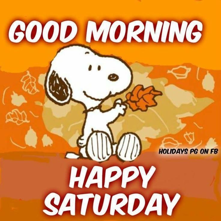 GOOD MORNING 
HAPPY SATURDAY