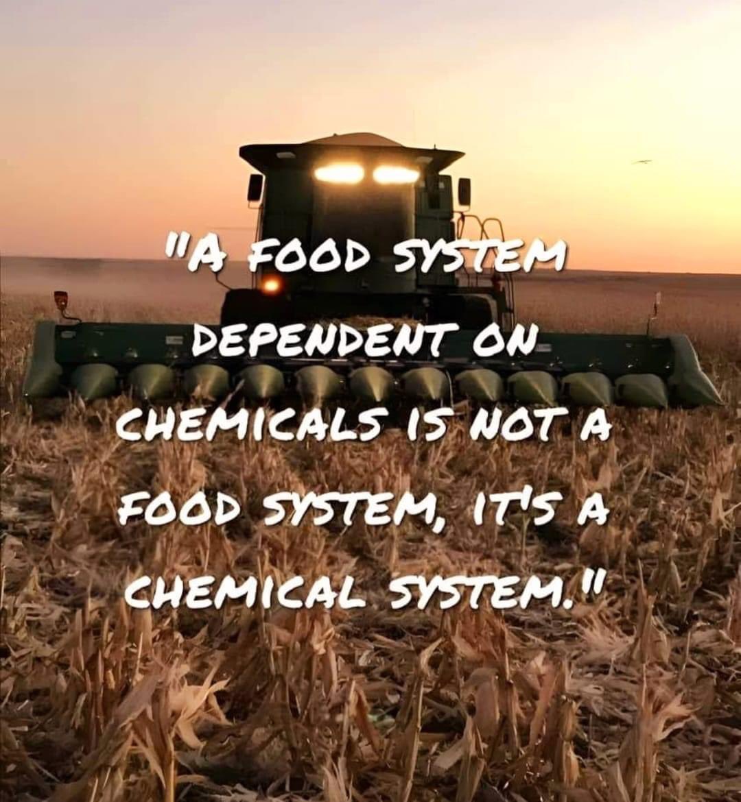 MaryCeleste1111's tweet image. “A Food System Dependent On Chemicals Is Not A Food System It’s A Chemical System”

#GMO
#chemtrails 
#TiO2