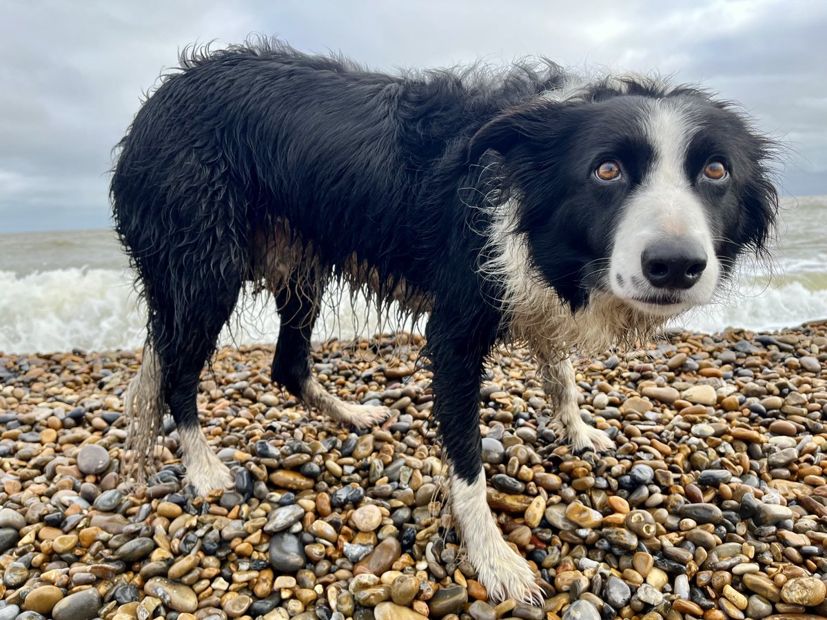 I’m done waiting - just throw the ball😉
