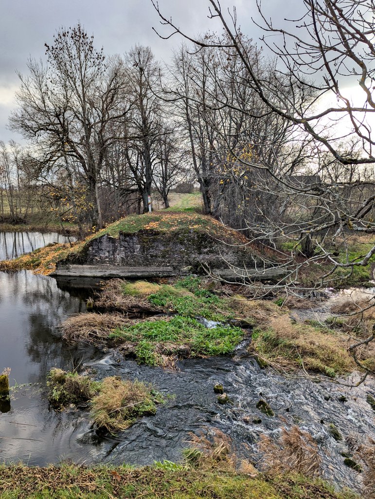 Nick Short 🇺🇦 tweet media